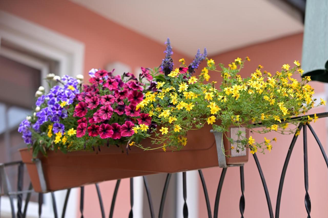 וואלדסאסן Hotel Zrenners Garni מראה חיצוני תמונה